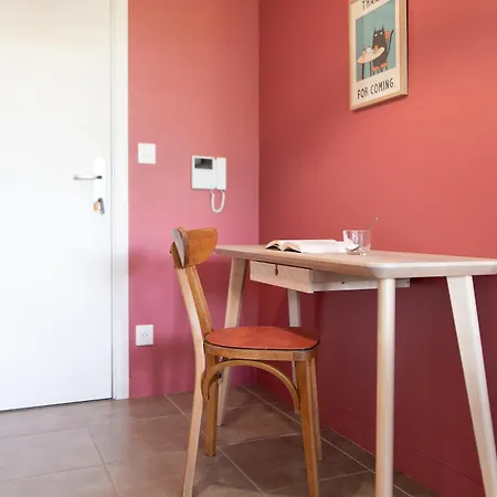 Centre - Dome La Grave - Wifi- Parking Gratuit Tuluza