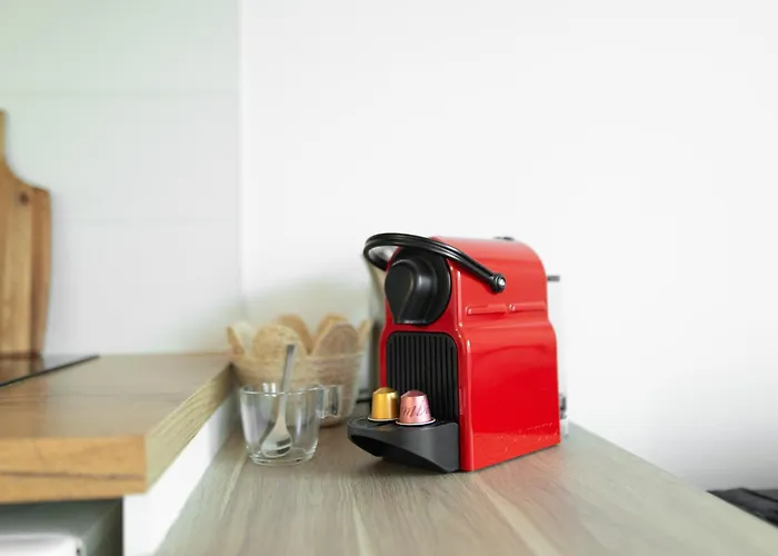 Apprt Centre Ville Toulouse - Dome La Grave - Wifi- Parking Gratuit