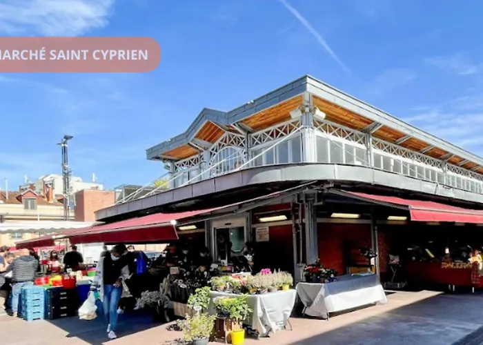 Daire Apprt Centre Ville Toulouse - Dome La Grave - Wifi- Parking Gratuit Toulouse